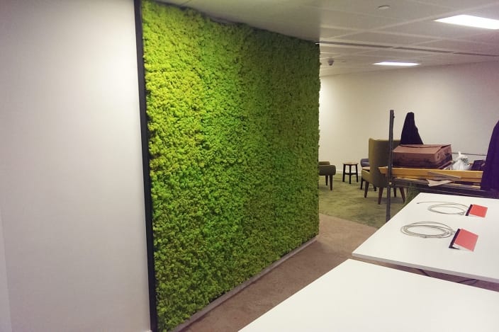 living moss wall
